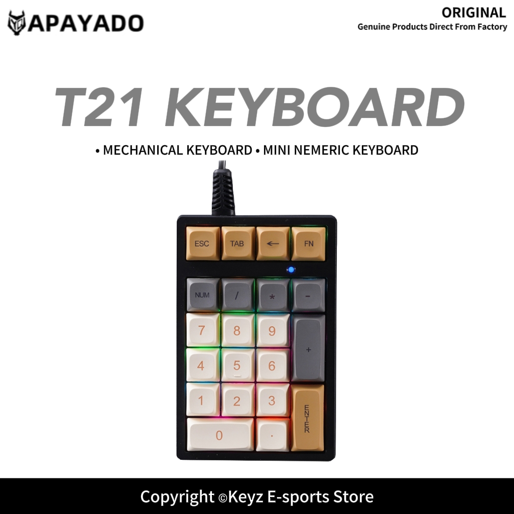 Keyboard Gaming Blue Switch - T21 แป้นพิมพ์ตัวเลขขนาดเล็ก RGB แบ็คไลท์ สวิตช์สีน้ำเงิน APAYADO
