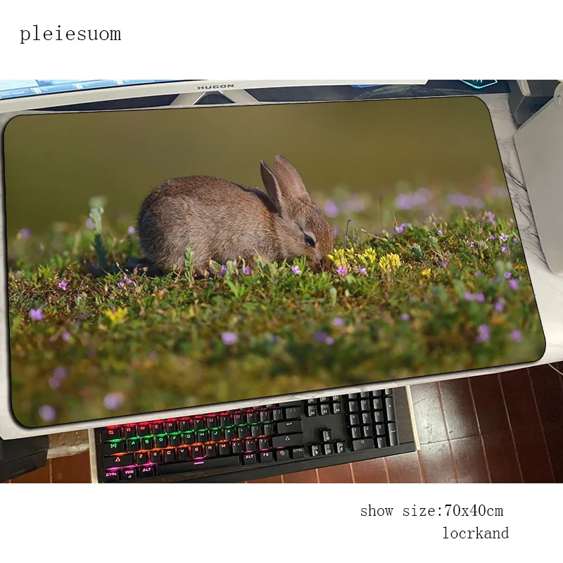 กระต่ายน่ารักเมาส์ Pad ที่ดีที - Gaming Keyboard Best บทวิจารณ์และราคา